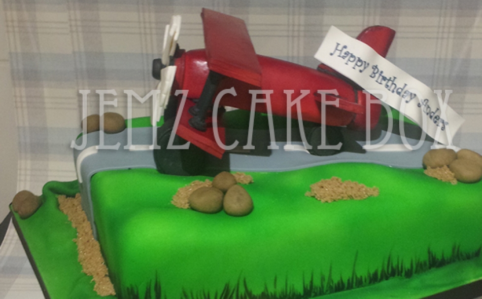 Toy Airplane Celebration Cake from £145